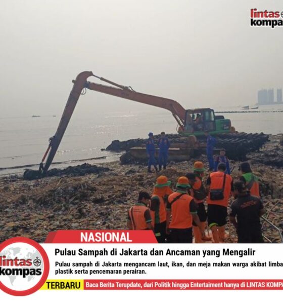 Pulau Sampah di Jakarta dan Ancaman yang Menghantui