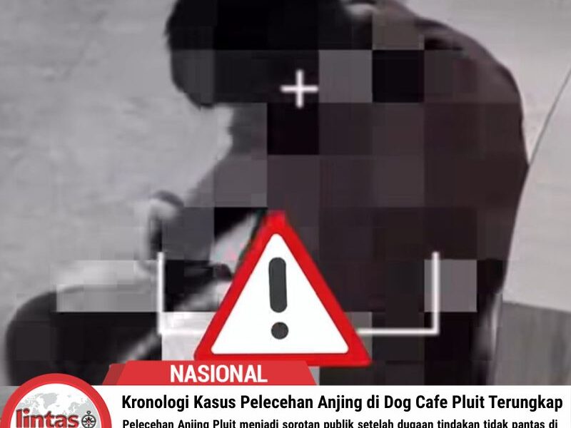 Kronologi Kasus Pelecehan Anjing di Dog Cafe Pluit Terungkap