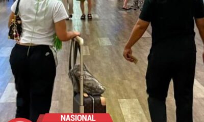Bali Bersih-Bersih WNA Bermasalah, 6 Orang Dideportasi karena Bikin Onar