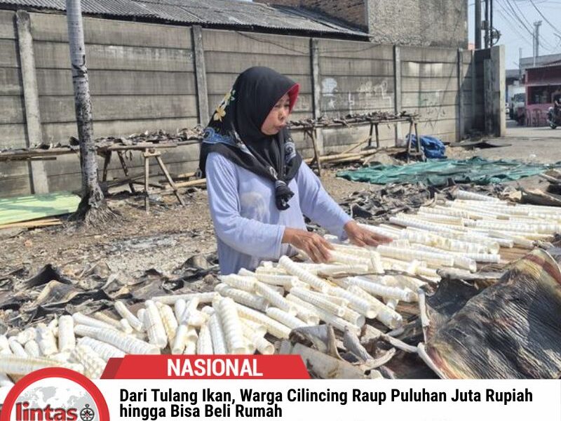 Dari Tulang Ikan, Warga Cilincing Raup Puluhan Juta Rupiah hingga Bisa Beli Rumah
