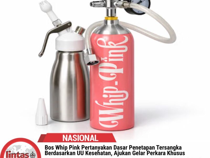 Bos Whip Pink Gugat Dasar Penetapan Tersangka UU Kesehatan