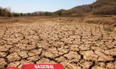 Indonesia Masuki El Niño Kuat, Dampaknya Mulai Terasa