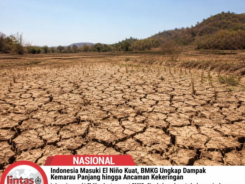 Indonesia Masuki El Niño Kuat, Dampaknya Mulai Terasa