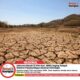 Indonesia Masuki El Niño Kuat, Dampaknya Mulai Terasa