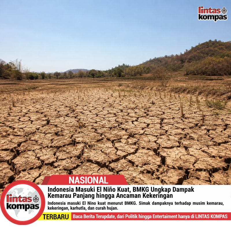 Indonesia Masuki El Niño Kuat, Dampaknya Mulai Terasa