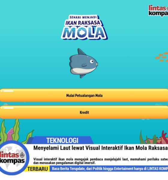 Menyelami Laut lewat Visual Interaktif Ikan Mola Raksasa