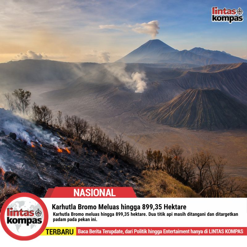 Karhutla Bromo Meluas hingga 899,35 Hektare