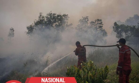 Taman Nasional Way Kambas Terbakar, Pemadaman Berlanjut