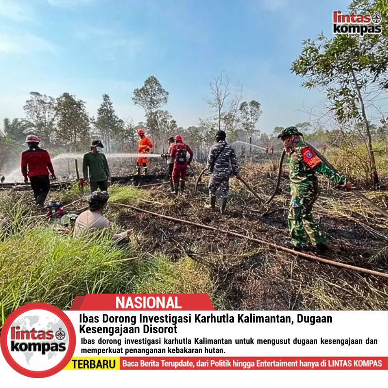 Ibas Dorong Investigasi Karhutla Kalimantan