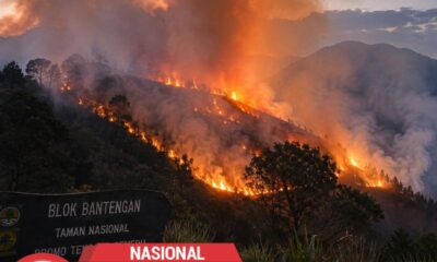 Kebakaran Hutan Bromo Tutup Tiga Jalur Wisata
