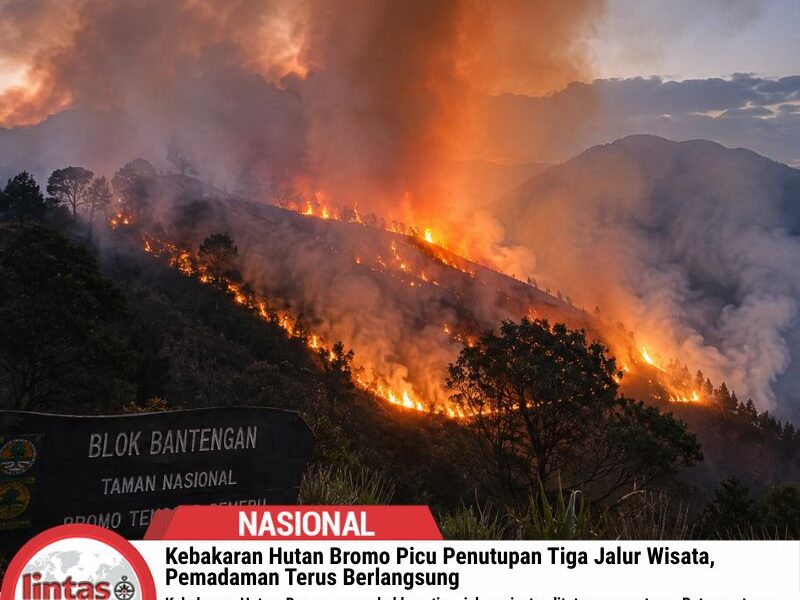 Kebakaran Hutan Bromo Tutup Tiga Jalur Wisata