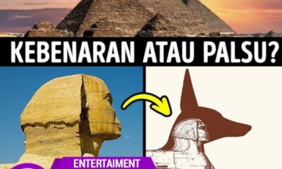 Channel YouTube Fakta Unik Terbaik