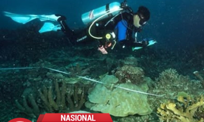 162 Ribu Hektare Laut Papua Resmi Jadi Kawasan Konservasi