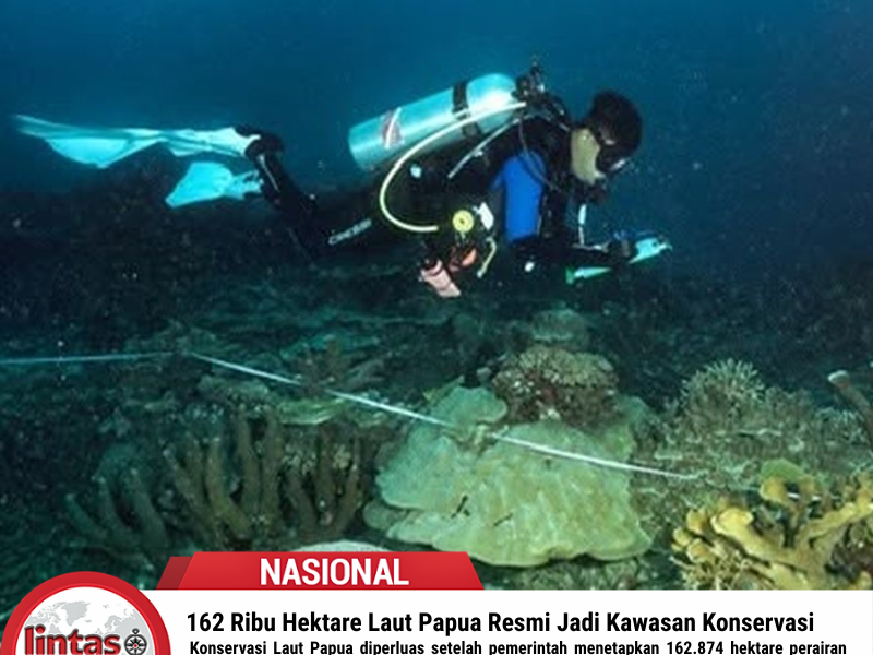 162 Ribu Hektare Laut Papua Resmi Jadi Kawasan Konservasi