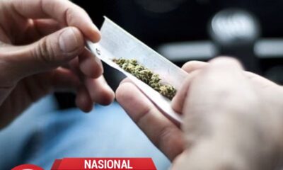 Polda Metro Ungkap Ganja 2,05 Kg di Duren Sawit