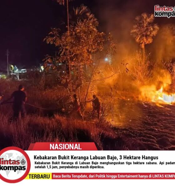 Kebakaran Bukit Keranga Labuan Bajo, 3 Hektare Hangus