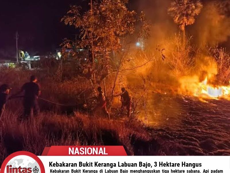 Kebakaran Bukit Keranga Labuan Bajo, 3 Hektare Hangus
